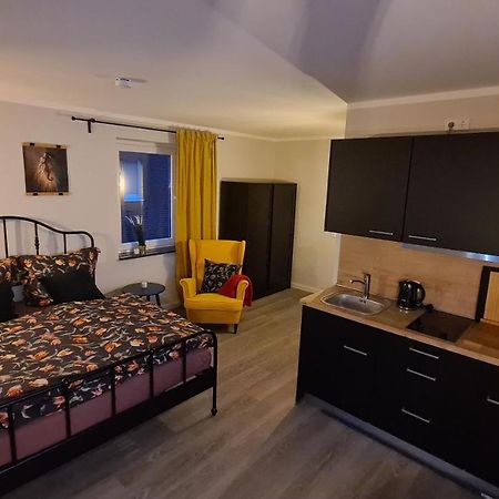 City-Apartment Nr 9 Zarrentin am Schaalsee Экстерьер фото